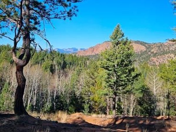 652 Derby Drive, Cripple Creek, CO 80813