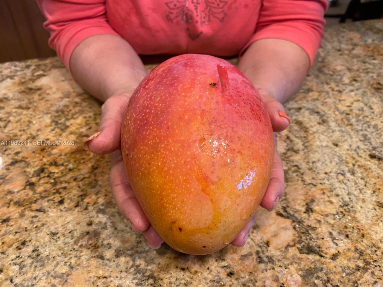 Xxxxx SW 184 St, Miami, FL 33187 Photo