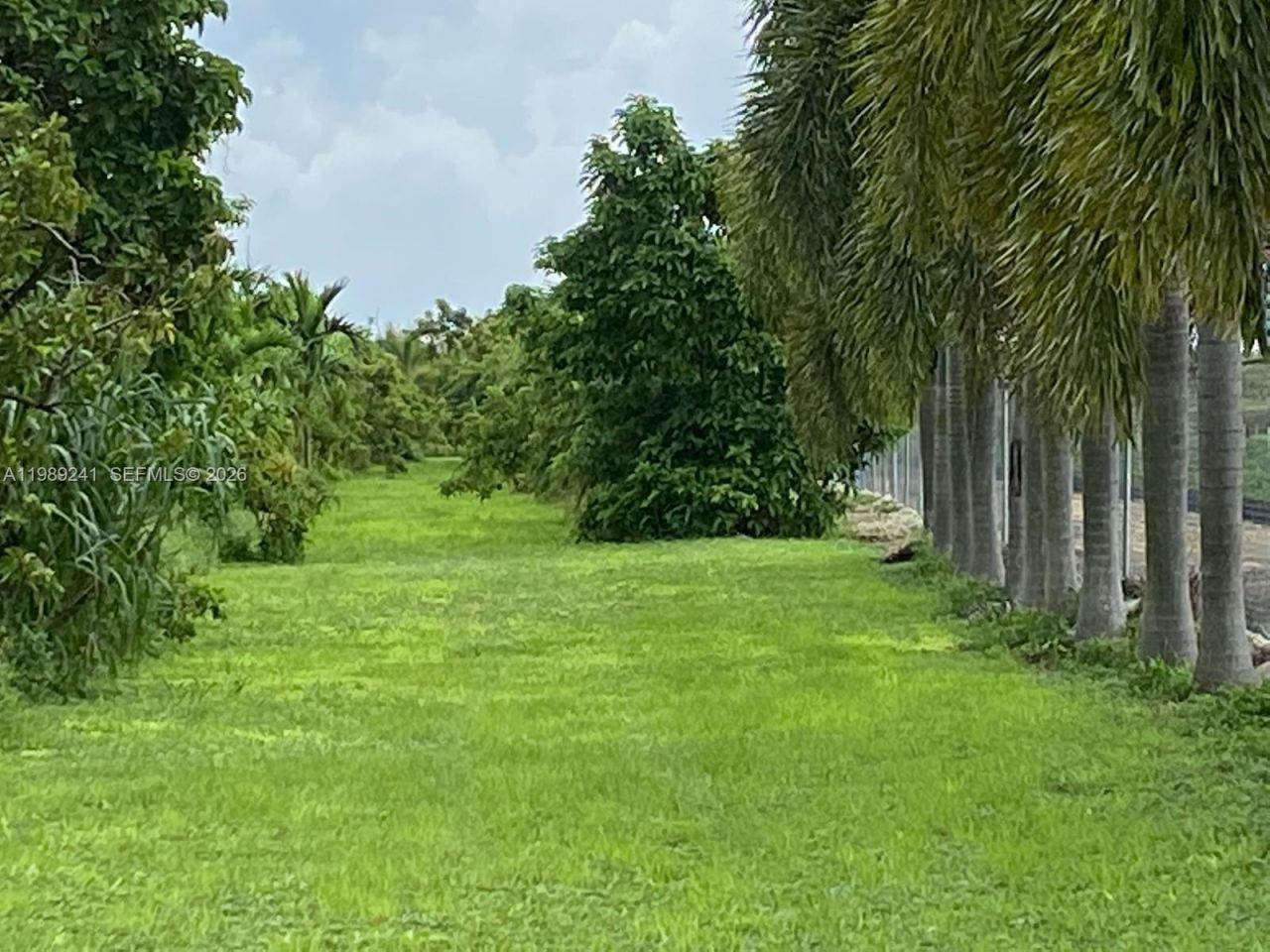 Xxxxx SW 184 St, Miami, FL 33187 Photo