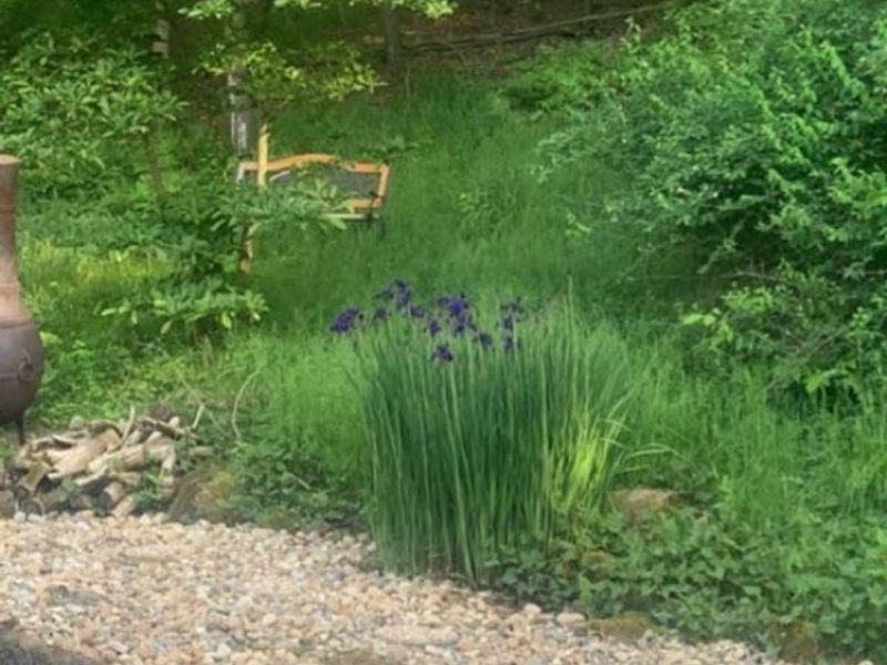 257 Windward Drive, Elyria, OH 44035 Photo 49