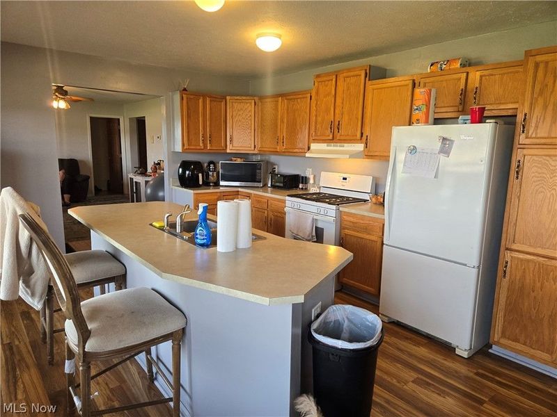 389 State Route 511, Nova, OH 44859 Photo 3