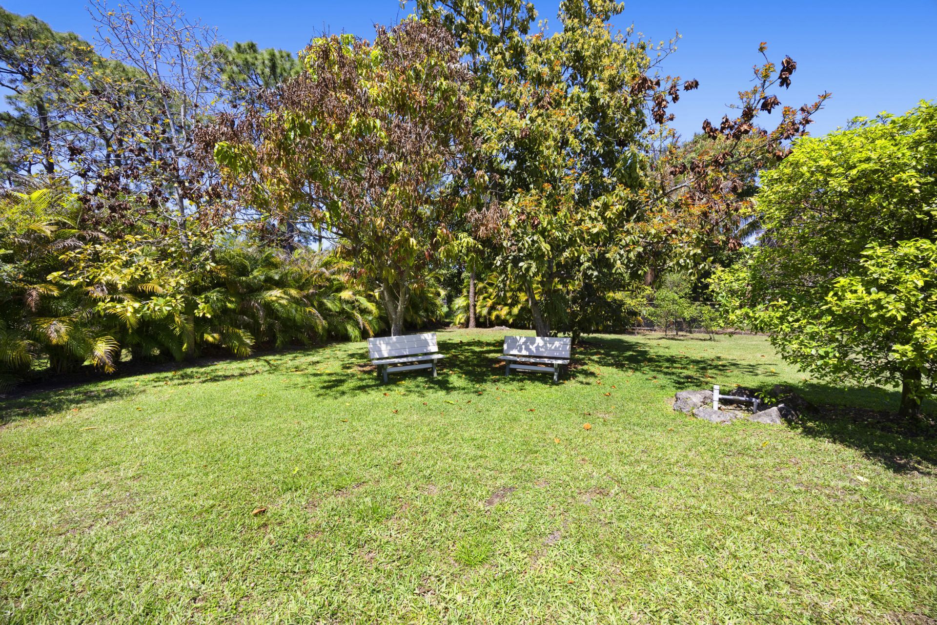 12333 78th Place N, West Palm Beach, FL 33412 Photo