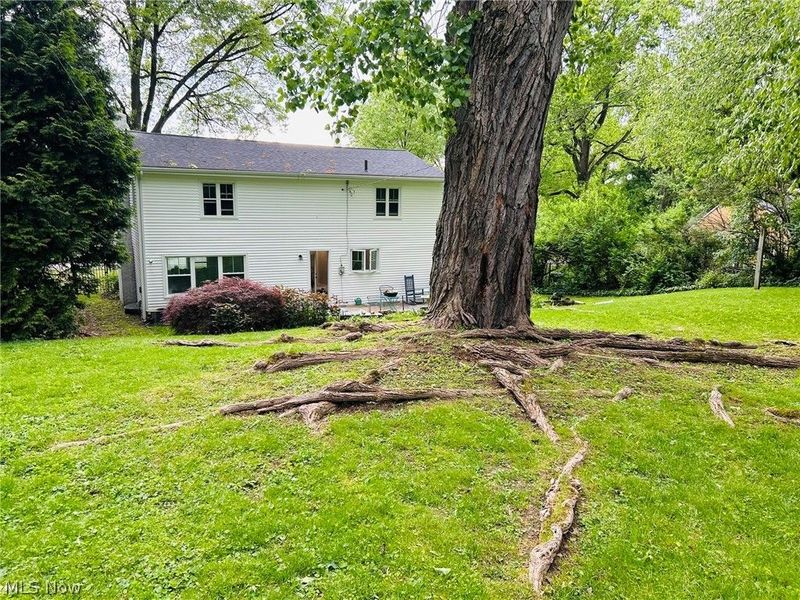 399 Mineola Avenue, Akron, OH 44320 Photo 45