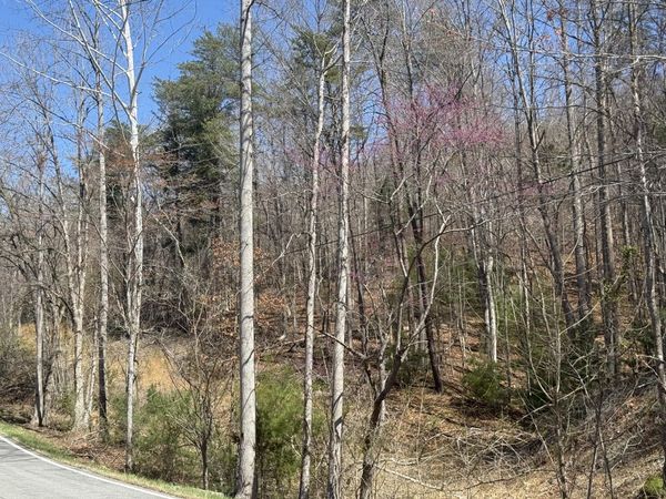 000 Narrow Passage RD, Eagle Rock, VA 24085
