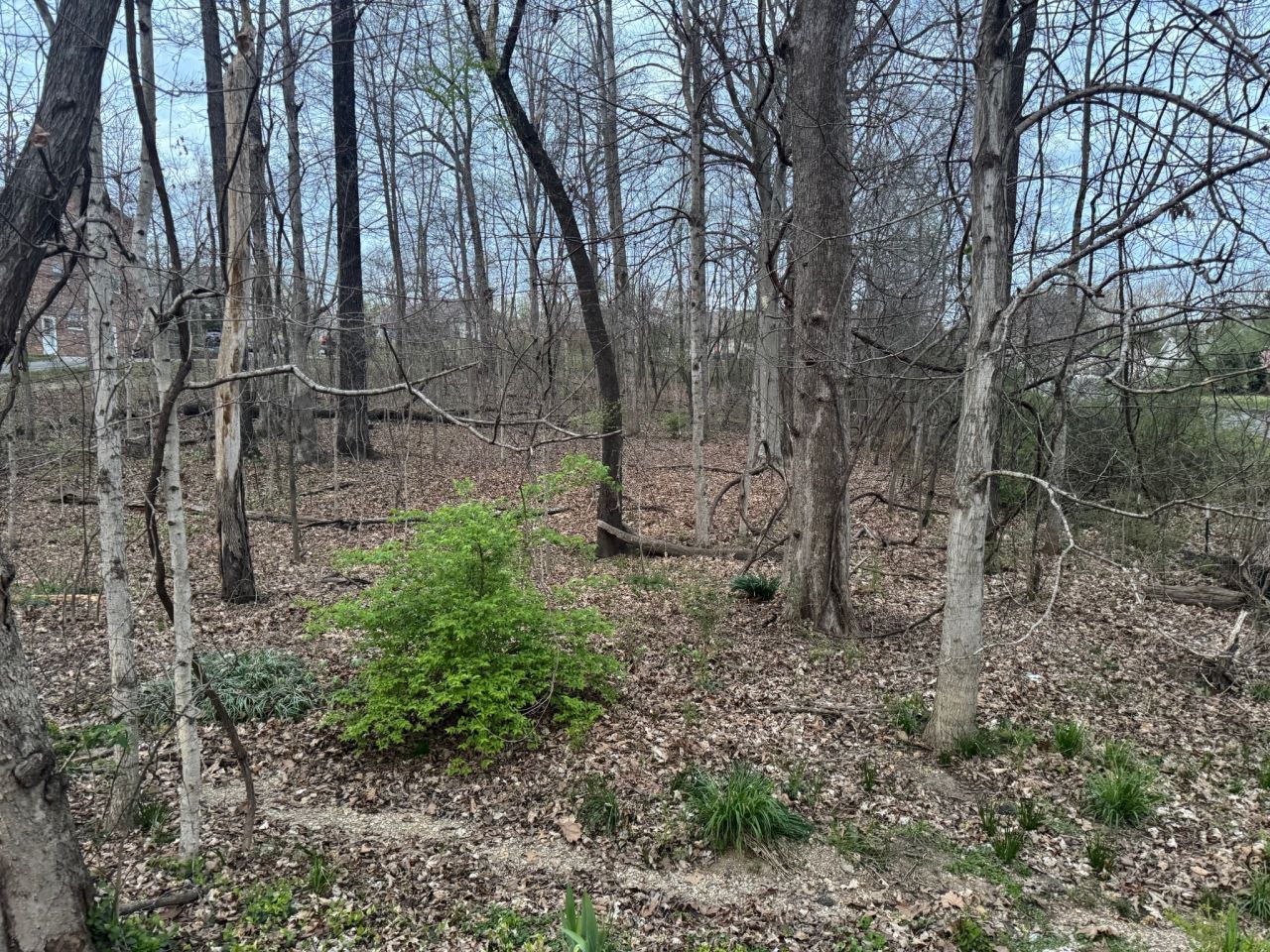 0 Canary Drive, Dickson, TN 37055 Main Photo