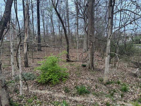 0 Canary Drive, Dickson, TN 37055