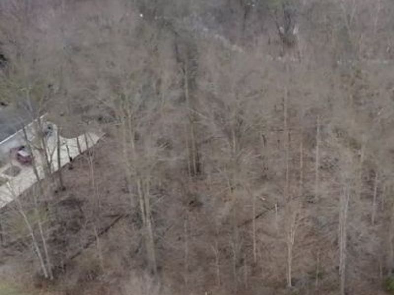 V/L 283 Stony Brook Lane, Wakeman, OH 44889 Photo 2