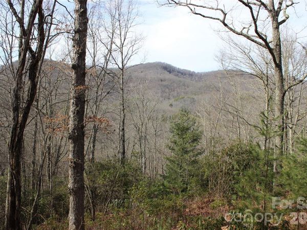 Lots 82 & 83 Waterdance Drive , Tuckasegee, NC 28783