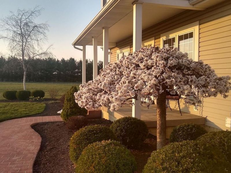 10304 Rosedale Milford Center Road, Irwin, OH 43029 Photo 54