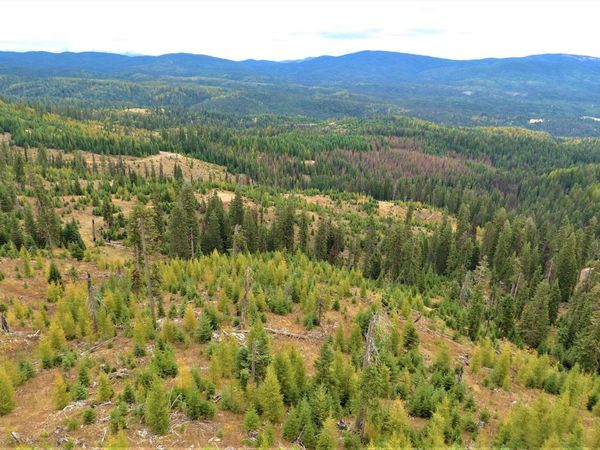 TBD Elk City Wagon Road, Elk City, ID 83525