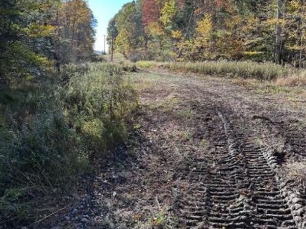 179 BANOS LN, NOXEN, PA 18636