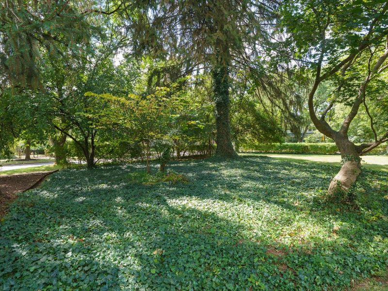 436 S Parkview Avenue, Columbus, OH 43209 Photo 47