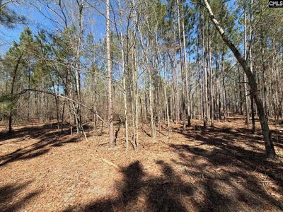 BHL 13 Boise Cascade Road, Bethune, SC 29009