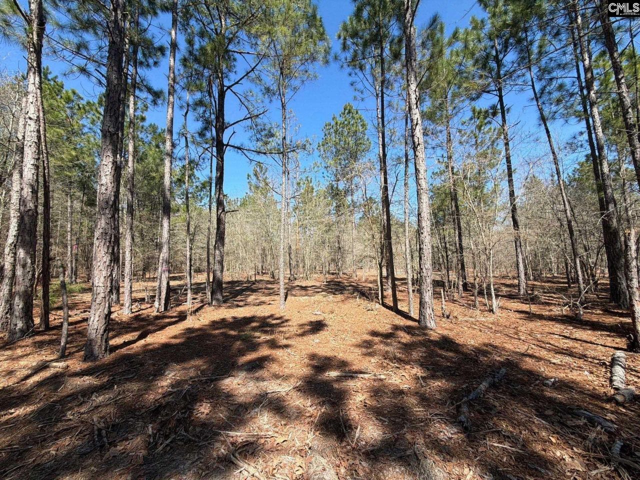 Bhl 13 Boise Cascade Road Photo 10