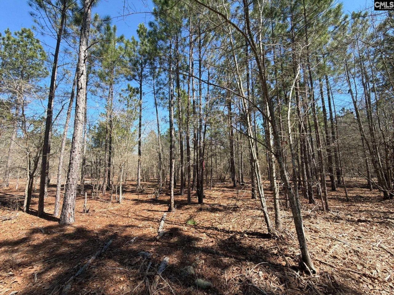 Bhl 13 Boise Cascade Road Photo 11