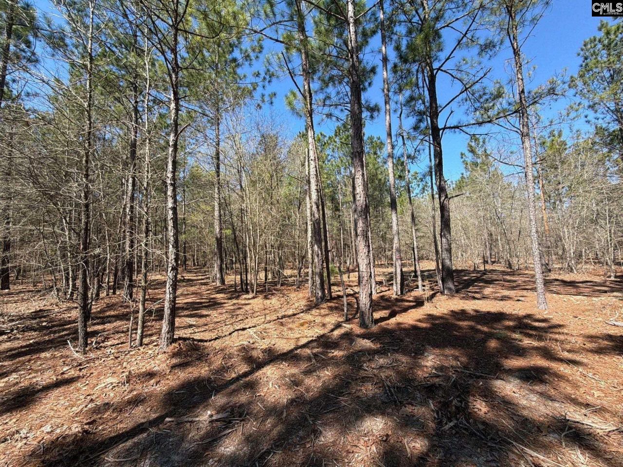 Bhl 13 Boise Cascade Road Photo 12