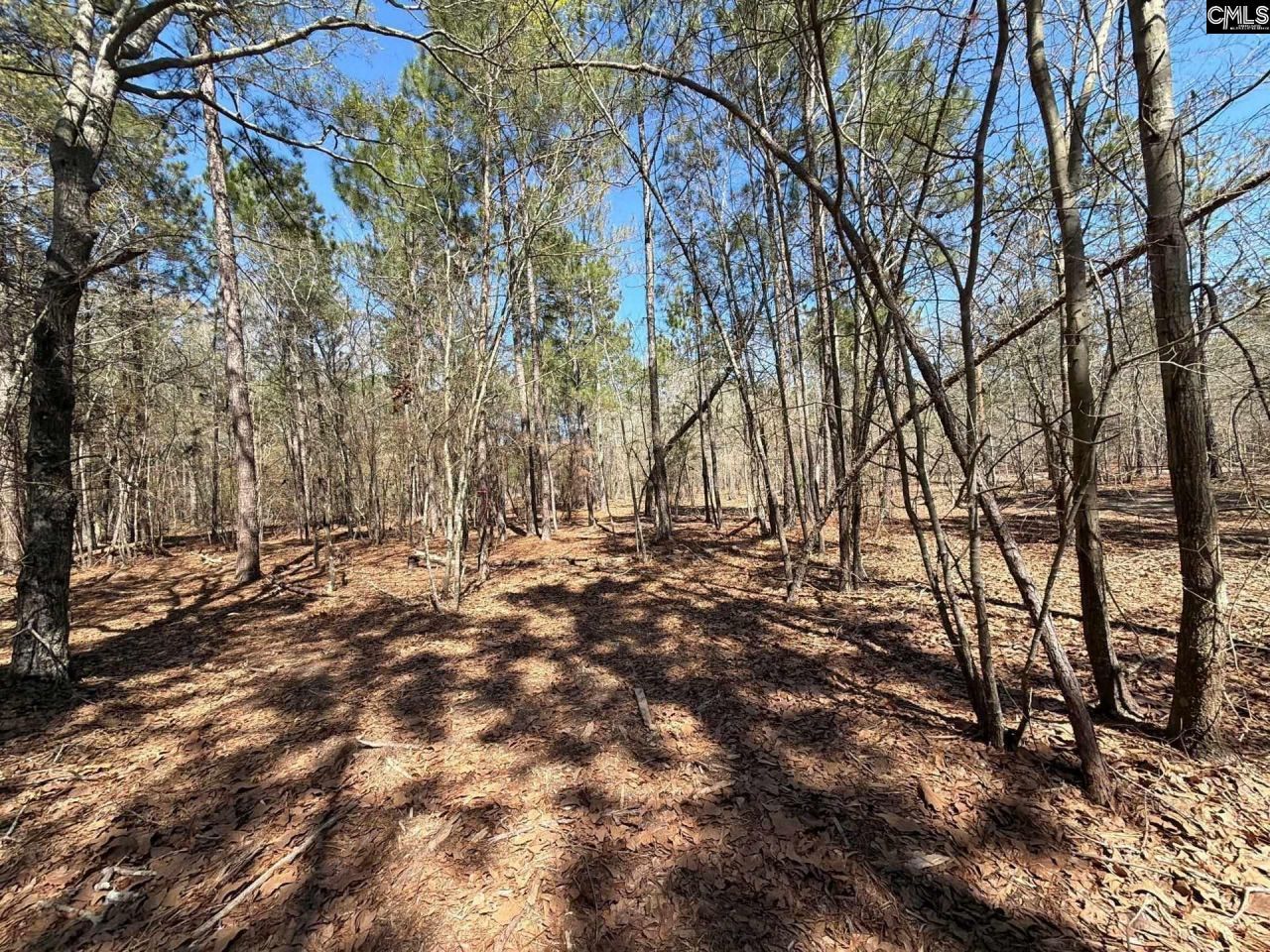 Bhl 13 Boise Cascade Road Photo 13