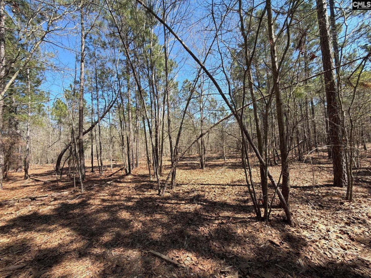 Bhl 13 Boise Cascade Road Photo 14