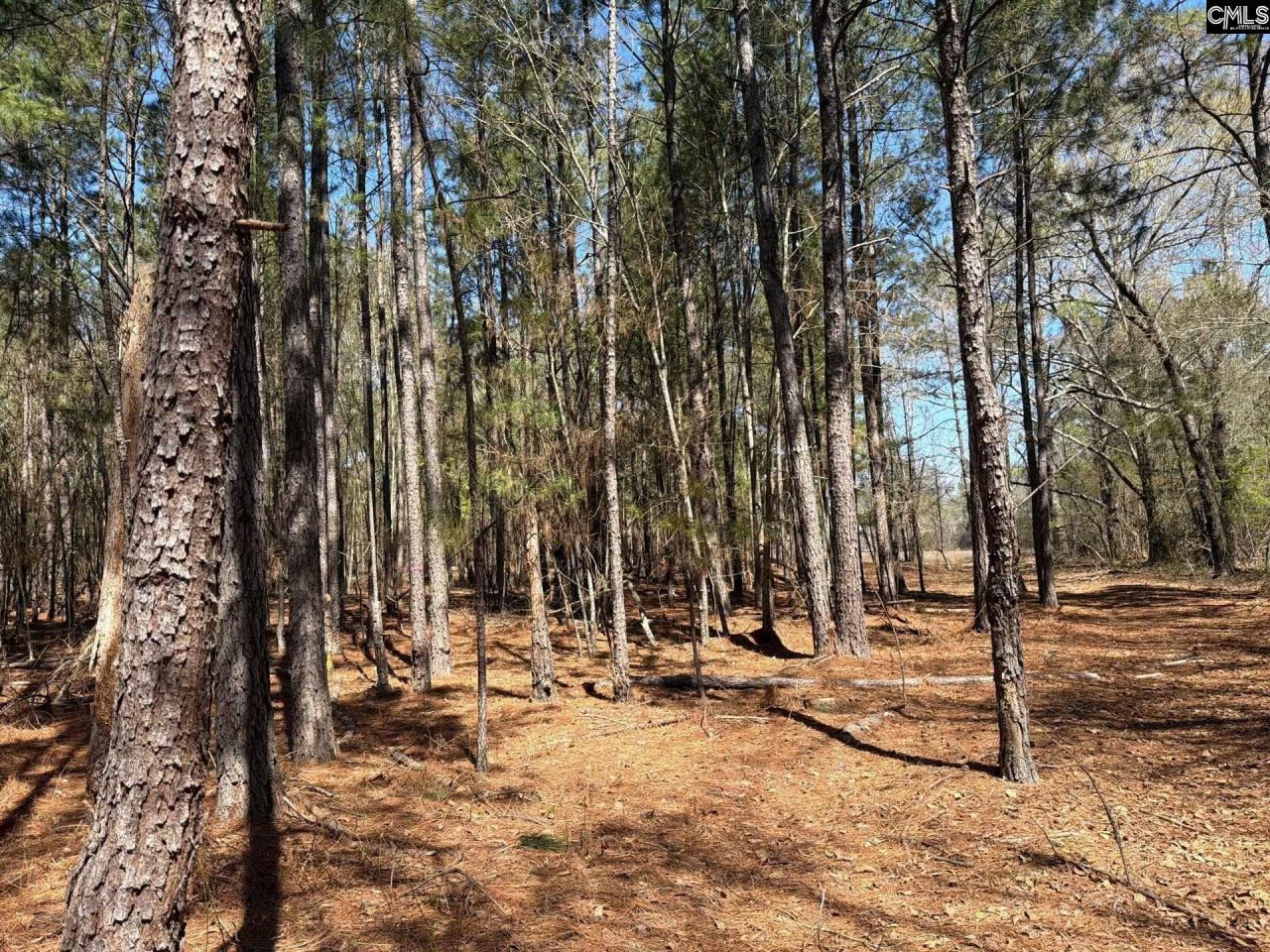 Bhl 13 Boise Cascade Road Photo 16