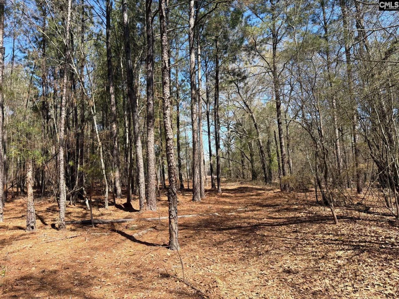 Bhl 13 Boise Cascade Road Photo 17