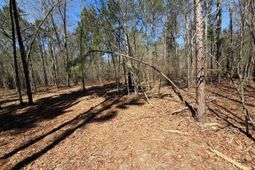 Bhl 13 Boise Cascade Road photo 4