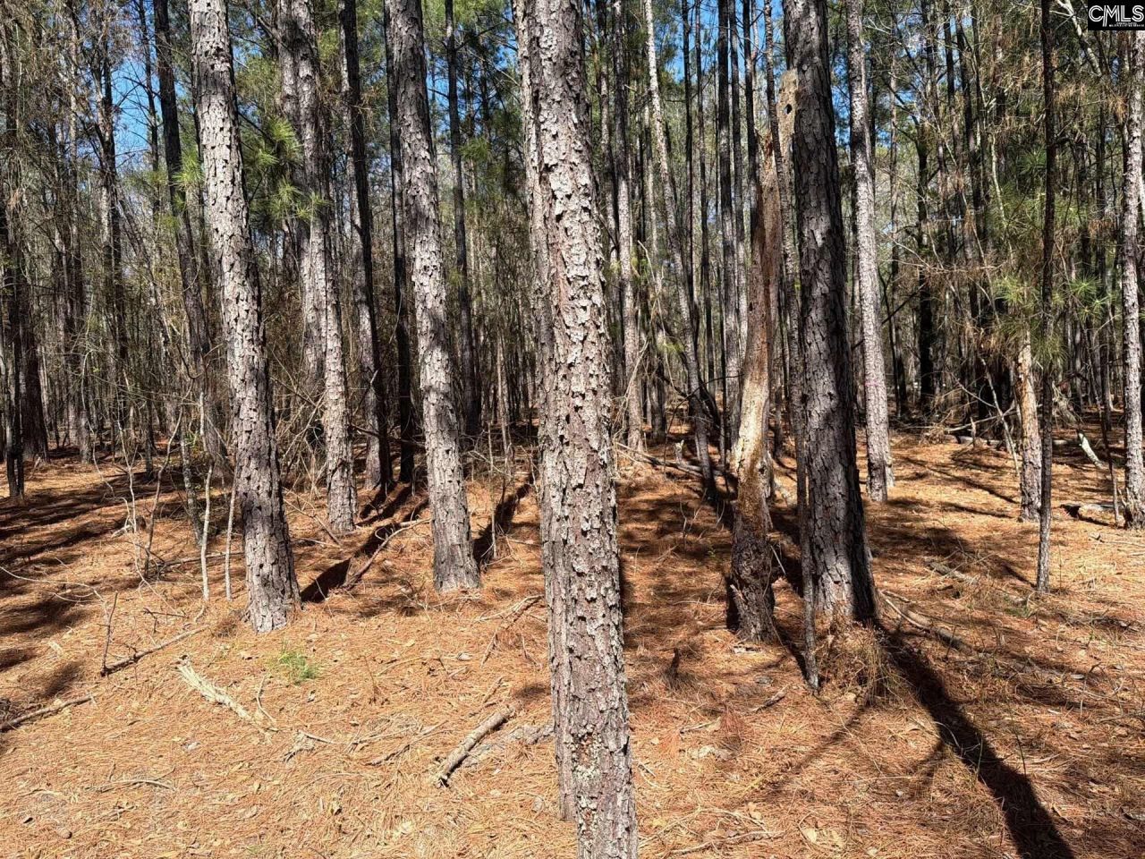 Bhl 13 Boise Cascade Road Photo 18