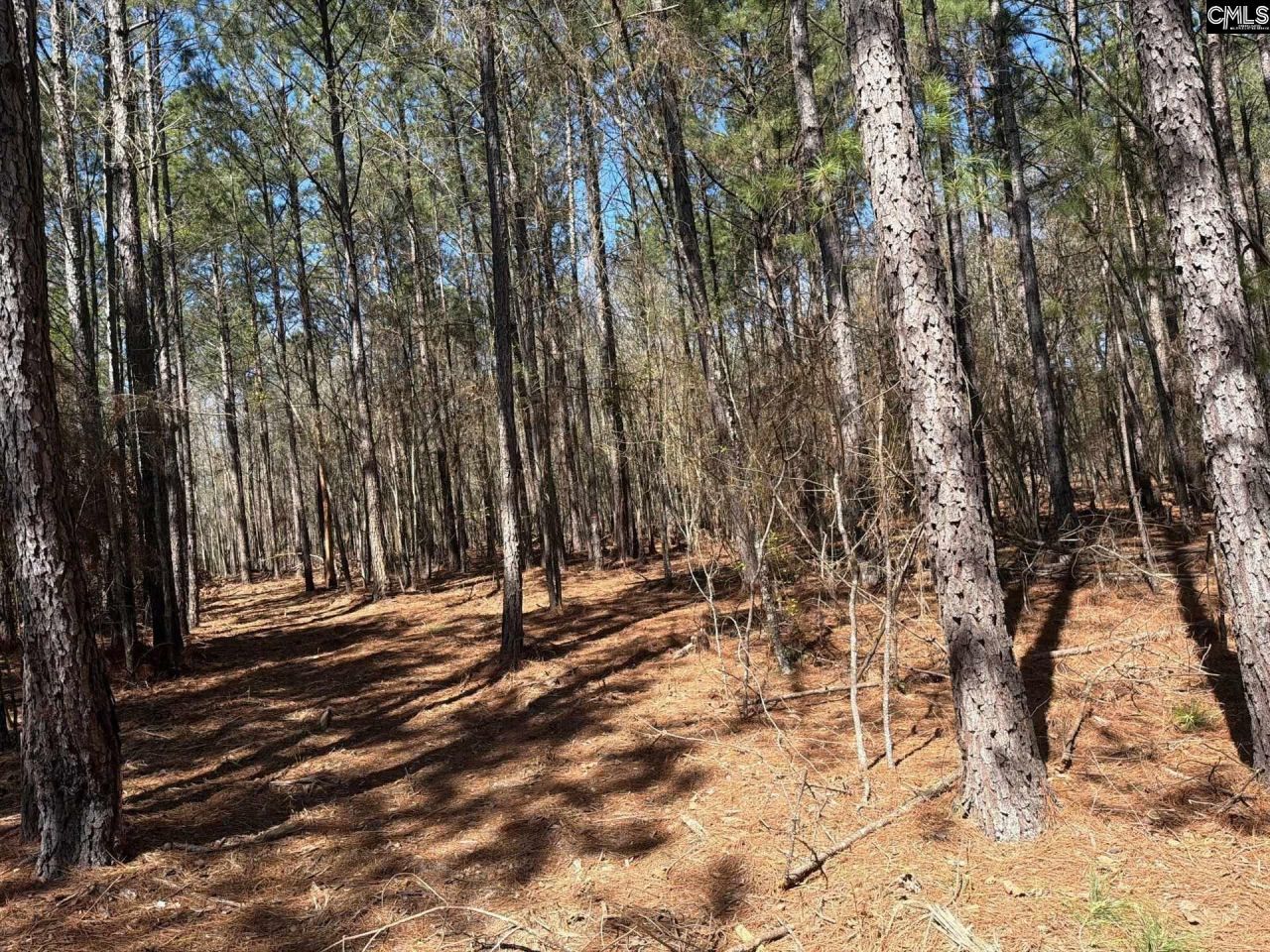 Bhl 13 Boise Cascade Road Photo 19