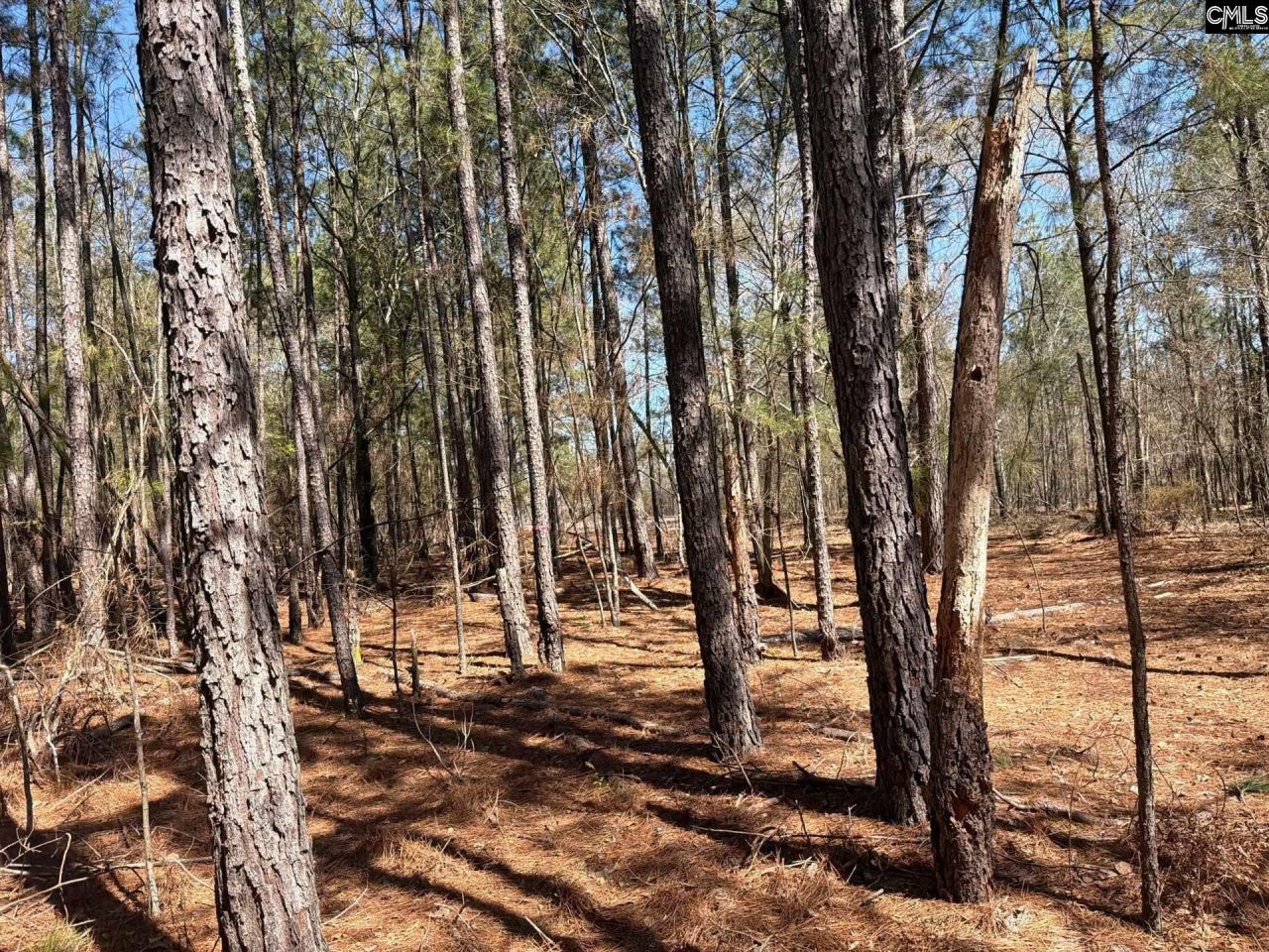 Bhl 13 Boise Cascade Road Photo 20