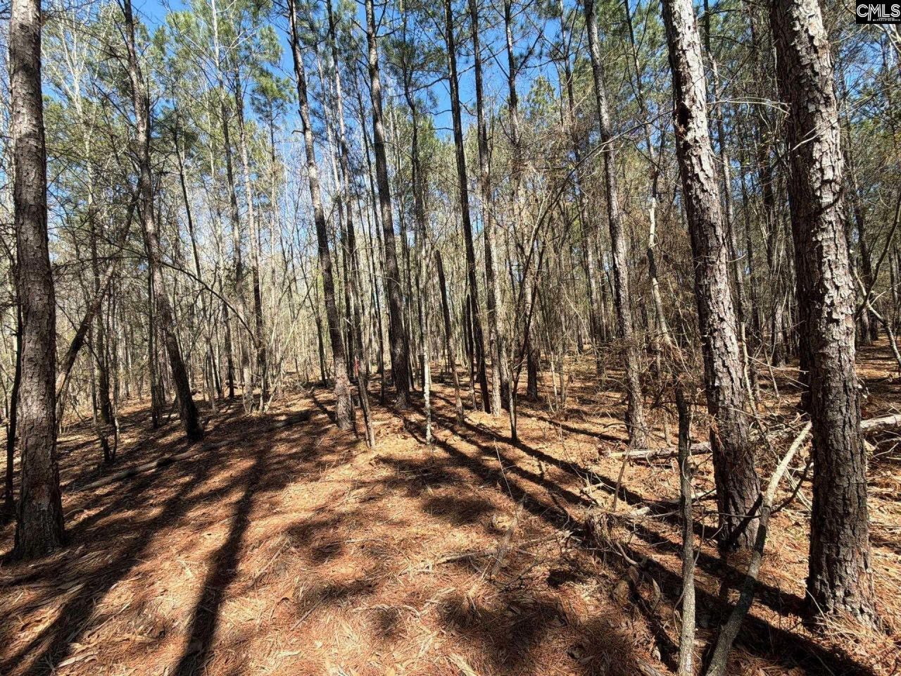 Bhl 13 Boise Cascade Road Photo 21