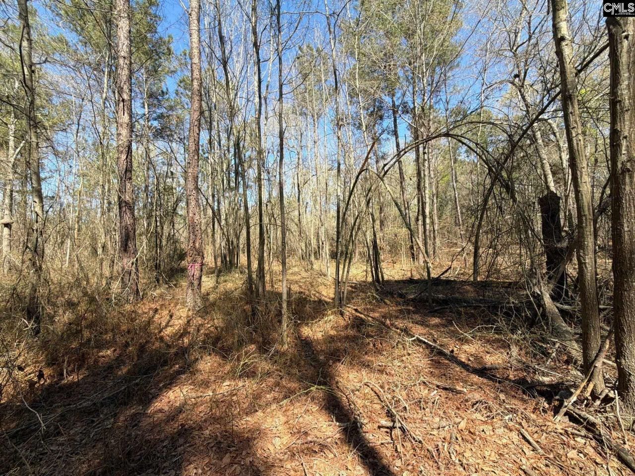 Bhl 13 Boise Cascade Road Photo 22