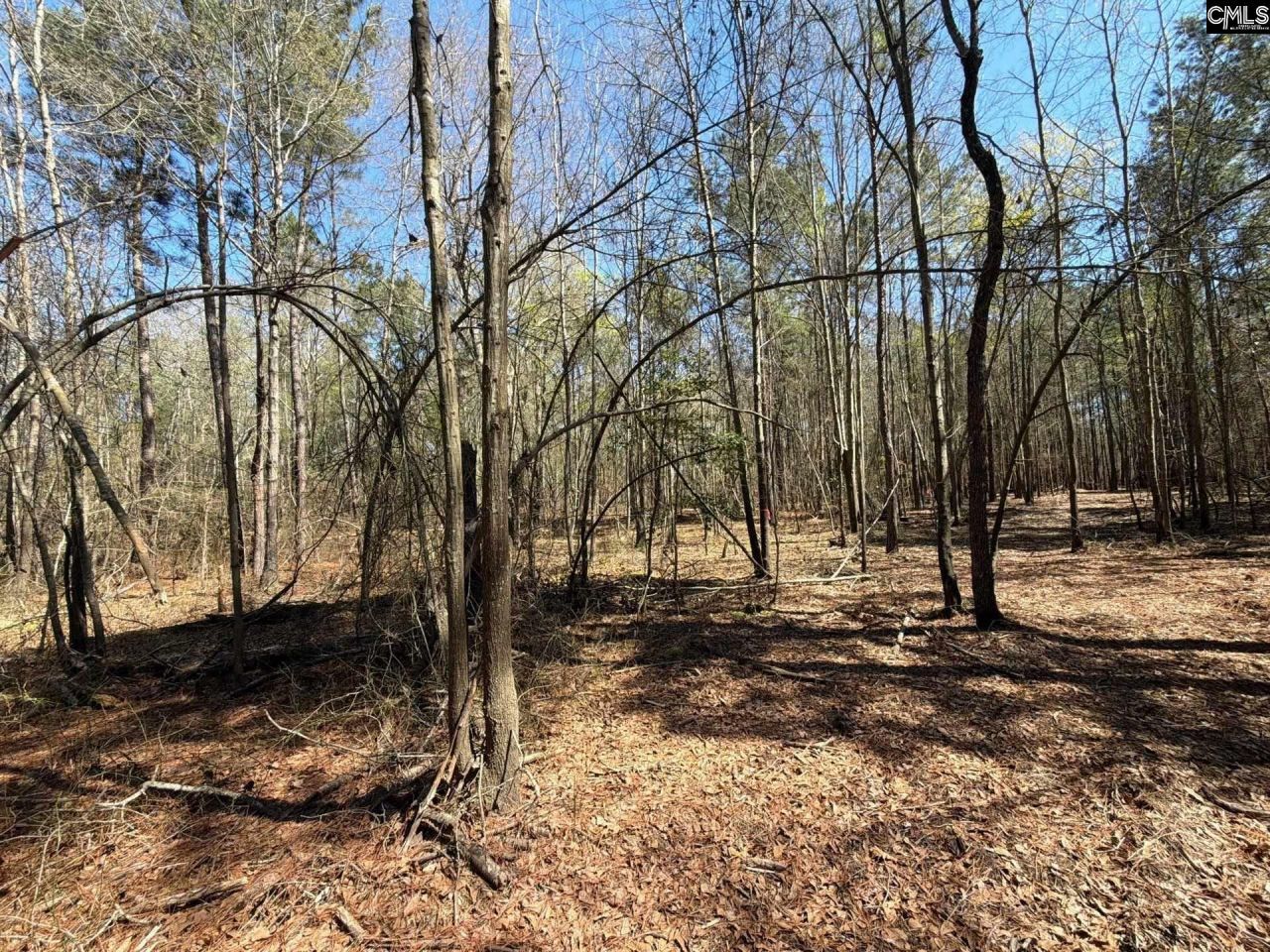 Bhl 13 Boise Cascade Road Photo 23