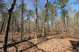 Bhl 13 Boise Cascade Road photo 4