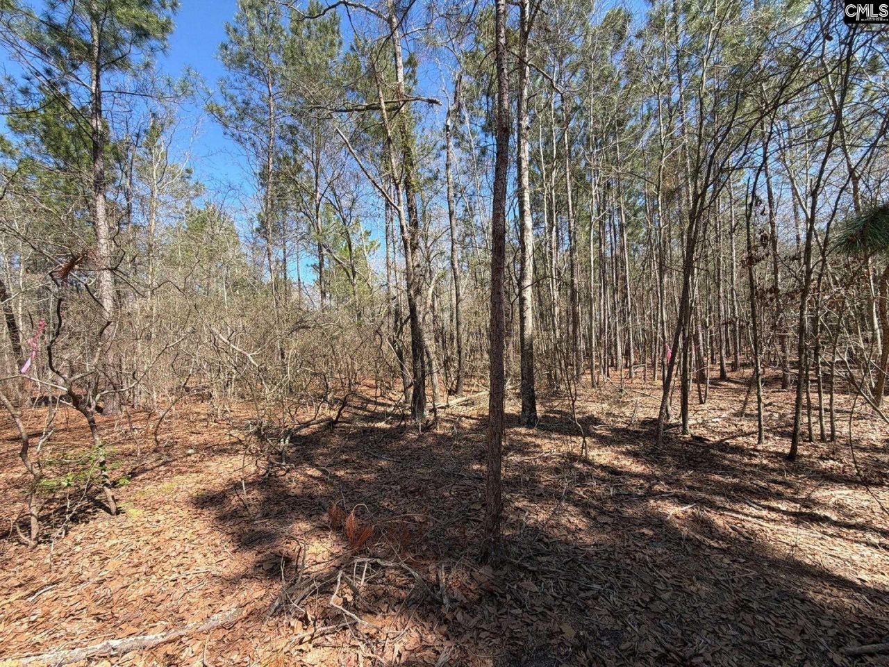 Bhl 13 Boise Cascade Road Photo 4