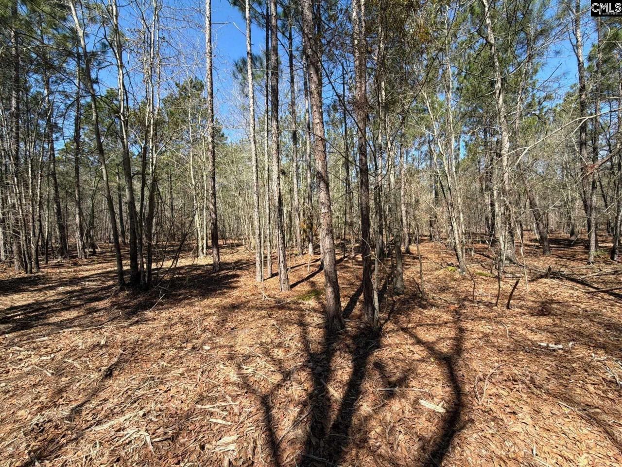 Bhl 13 Boise Cascade Road Photo 5