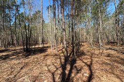 Bhl 13 Boise Cascade Road photo 4