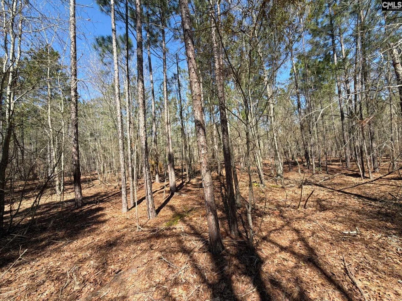 Bhl 13 Boise Cascade Road Photo 6