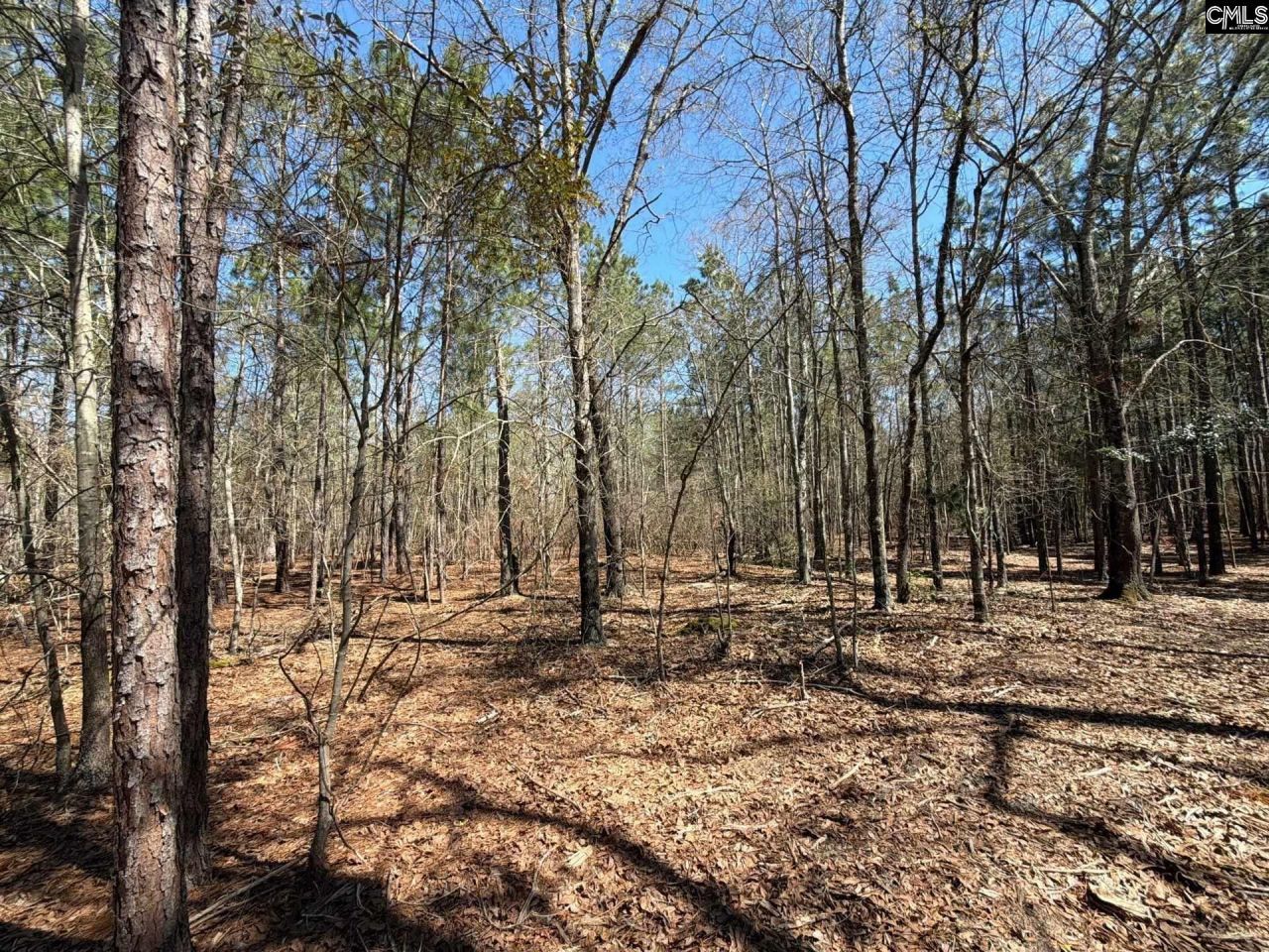 Bhl 13 Boise Cascade Road Photo 7