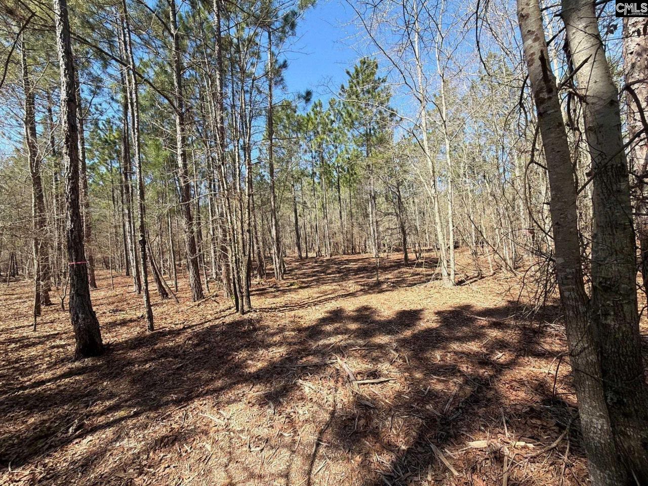 Bhl 13 Boise Cascade Road Photo 8