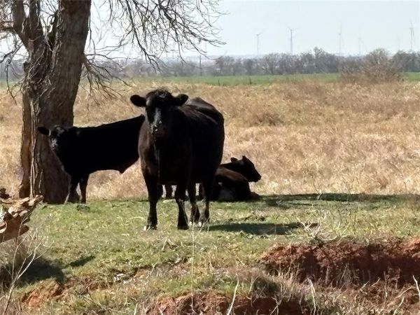 100 E County Road 600 Road, Marshall, OK 73056