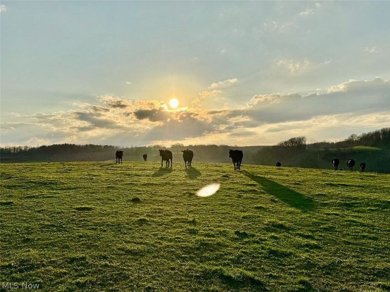 68895 Lloydsville Bannock Road, Belmont, OH 43718 Photo 43