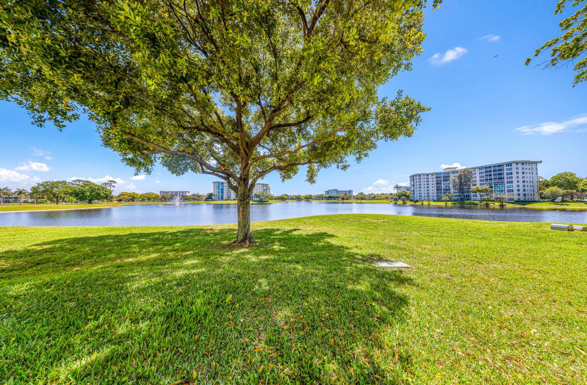 3091 N Course Drive, Unit 102, Pompano Beach, FL 33069 Photo