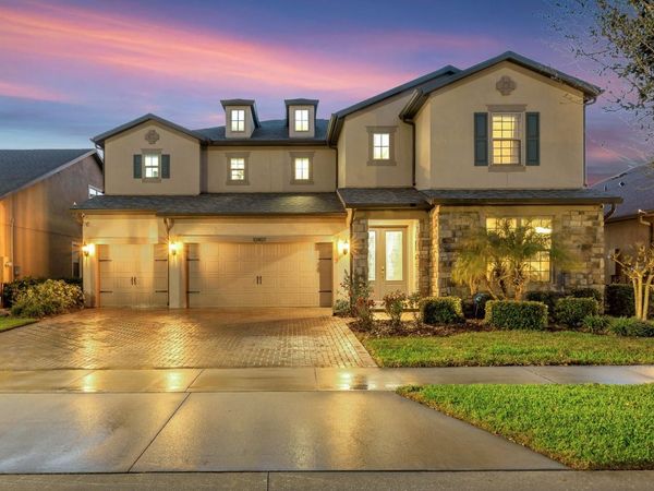 10407 TREE SKYLARK PLACE , RIVERVIEW, FL 33569