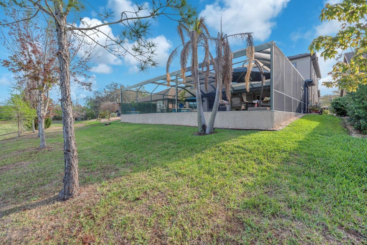 10407 Tree Skylark Place , Riverview, FL 33569 Photo