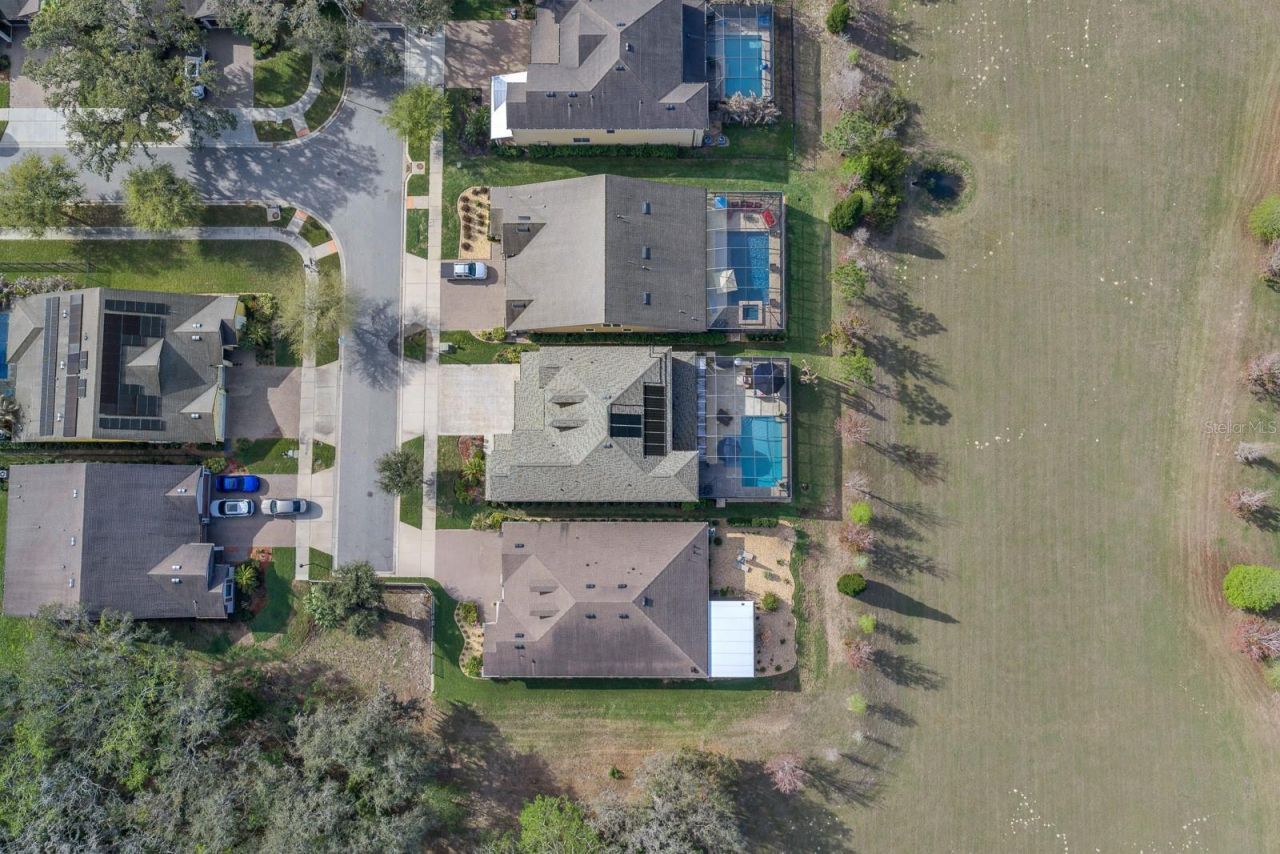 10407 Tree Skylark Place , Riverview, FL 33569 Photo