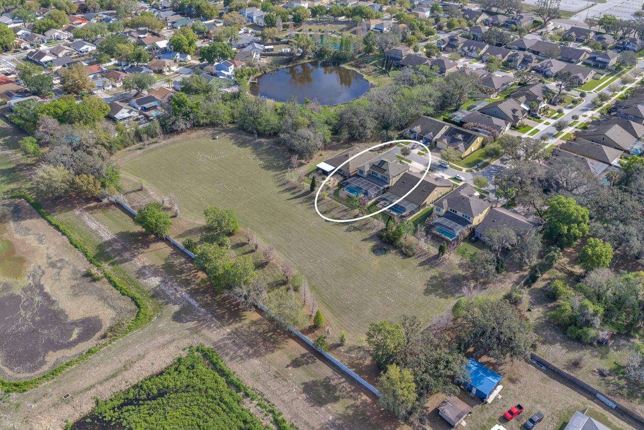 10407 Tree Skylark Place , Riverview, FL 33569 Photo