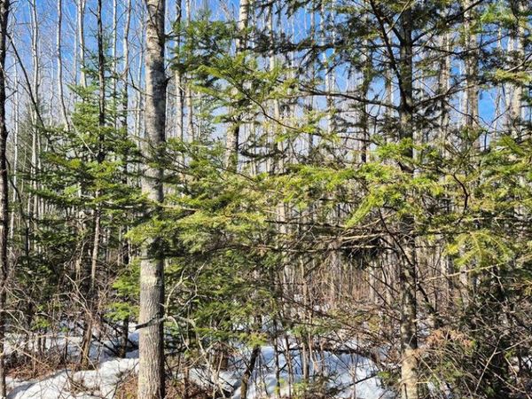 0 US Highway 63, Hayward, WI 54843