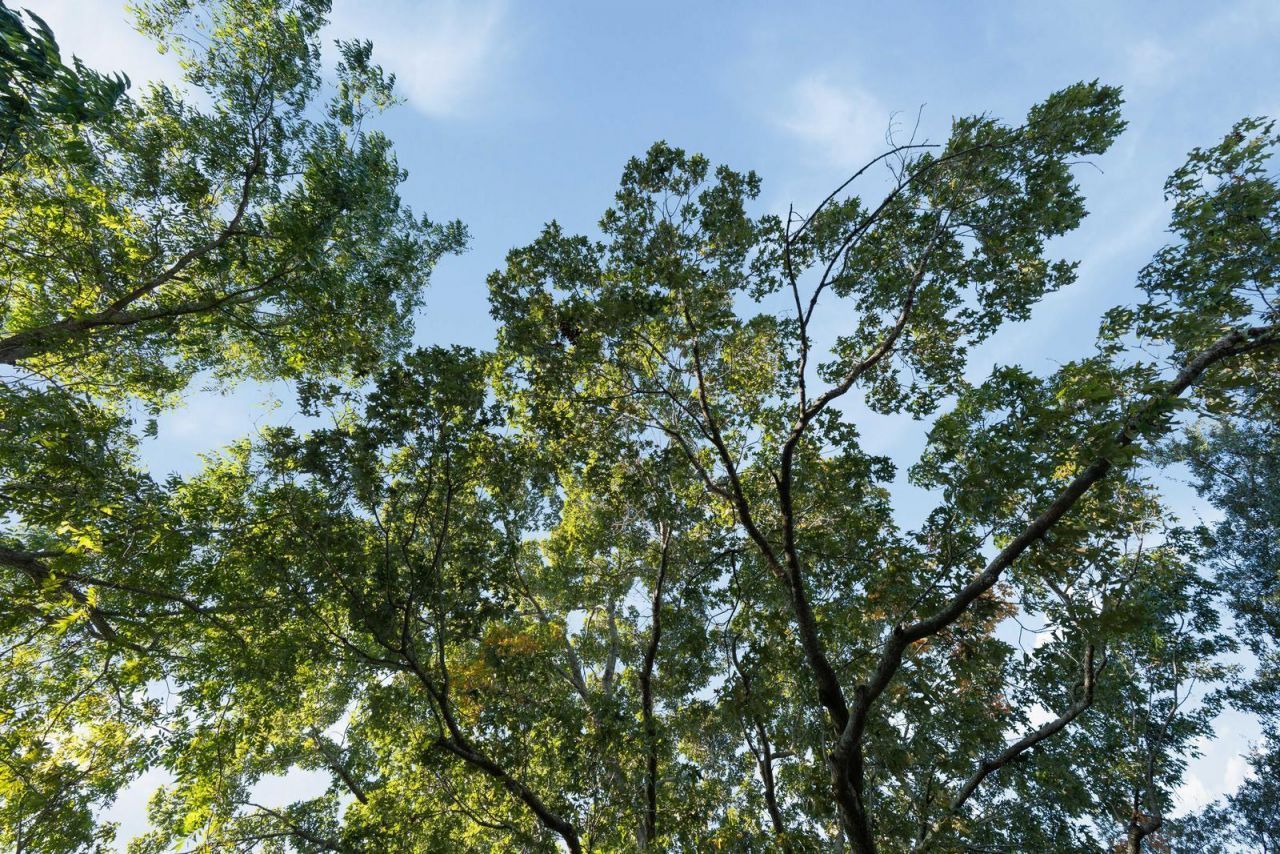 19 Gordon Street Photo 46