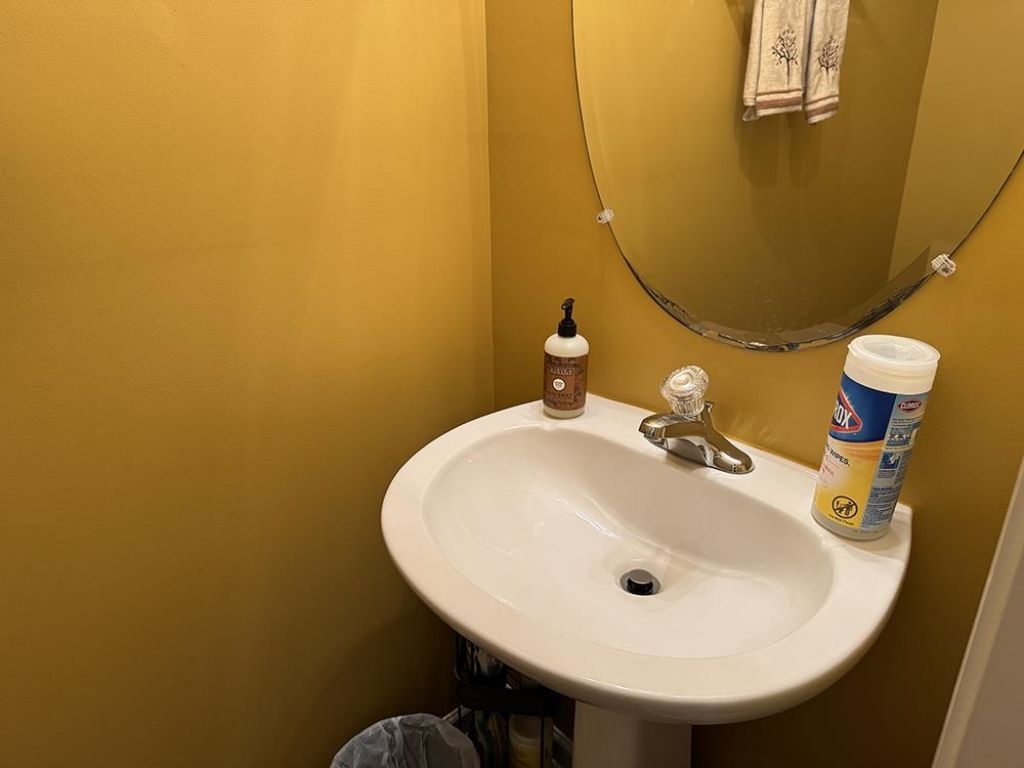 956 Palisade Circle Photo 8