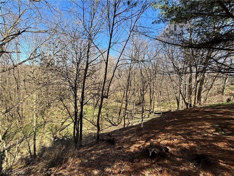 422 N 12th Street, Coshocton, OH 43812 Photo 12