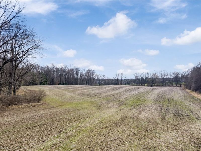 2348 E Turkeyfoot Lake Road, Akron, OH 44312 Photo 5